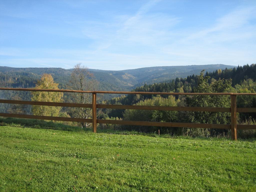 Apartmany Vydrysek Srní Buitenkant foto